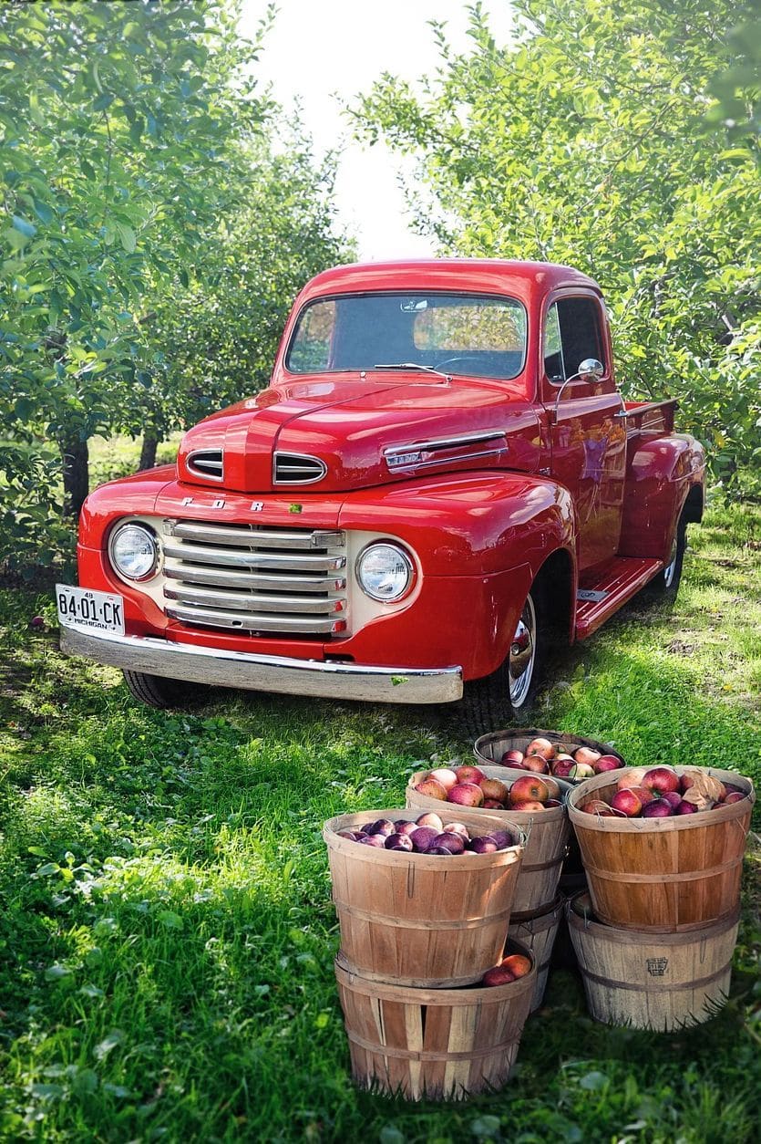 Willow Vale Orchards 14