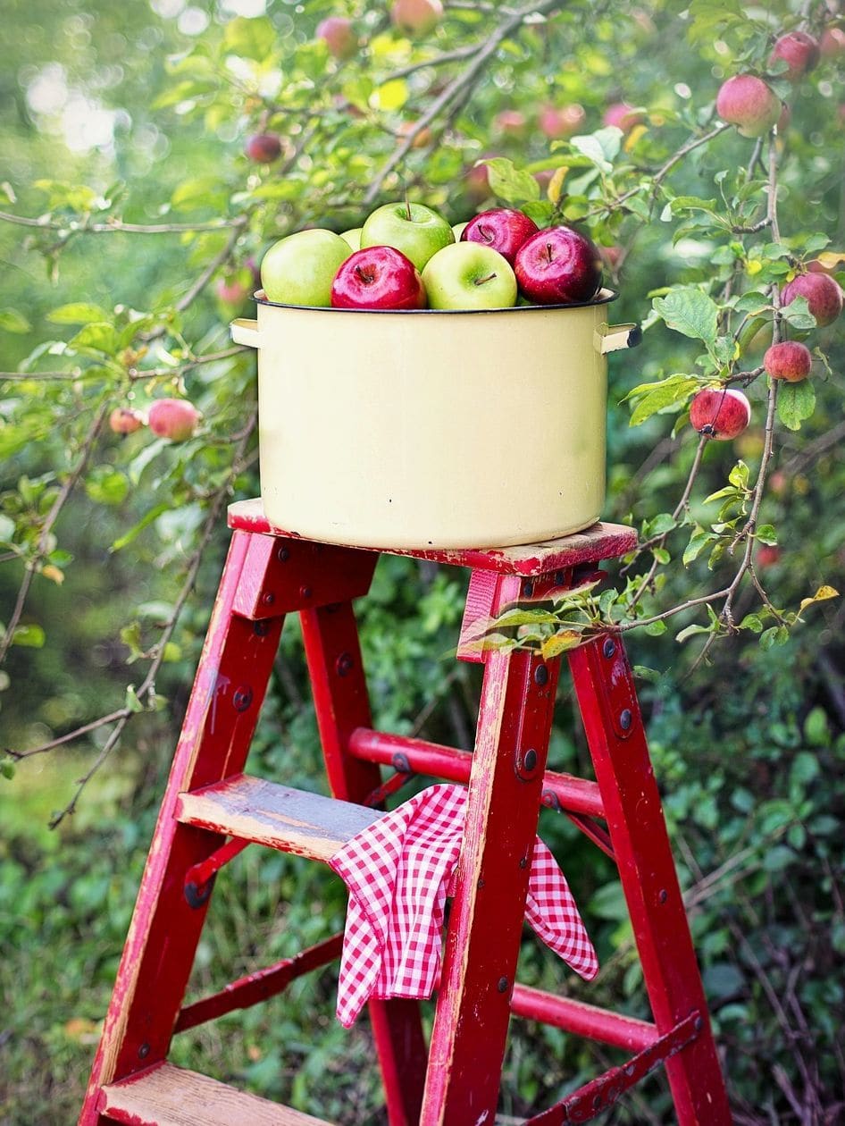 Willow Vale Orchards 6